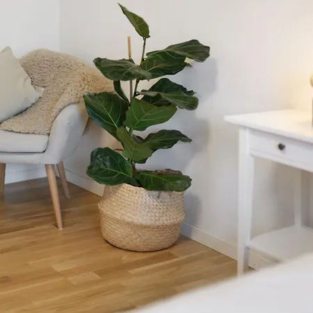 Apartamento Obsthof Fiess